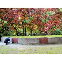 4050_P5140016 Reinigung einer beschmierten Gedenktafel am Platz der Bücherverbrennung. | Denkmal zur Erinnerung an die Bücherverbrennung in Hamburg Eimsbüttel, Isebekkanal.